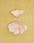Two clam shells on a citrus coloured chunky weave cotton bath mat by kobn