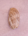 Fossilized shell on a lilac chunky weave cotton bathmat by kobn