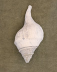 Large White conical shell on an Olive chunky cotton bathmat by Kobn