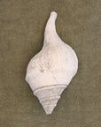 Large White conical shell on an Olive chunky cotton bathmat by Kobn