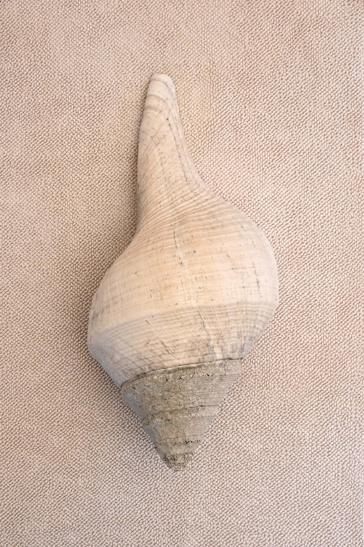 Large shell on ecru coloured chunky weave cotton bathmat by Kobn