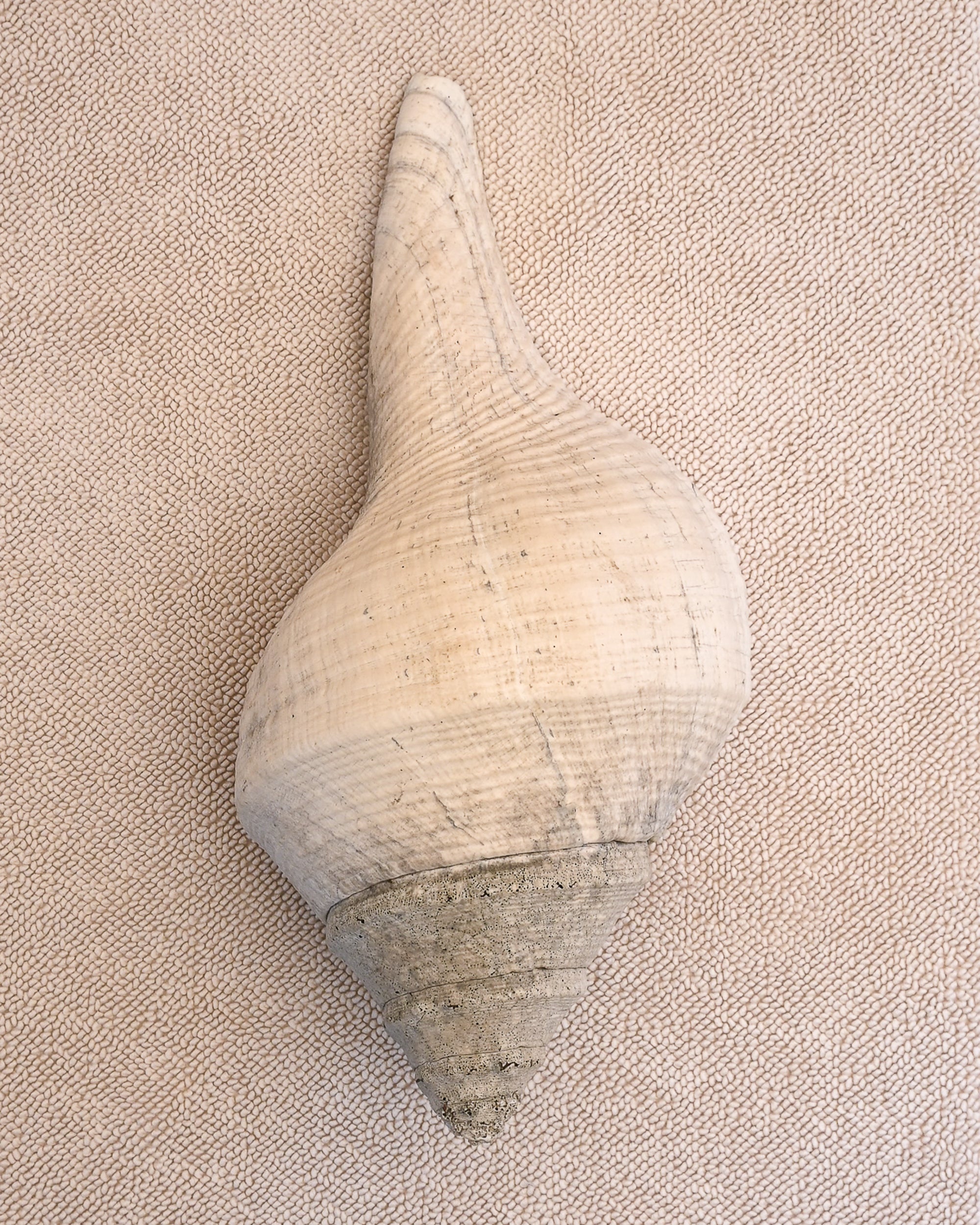 Large shell on ecru coloured chunky weave cotton bathmat by Kobn
