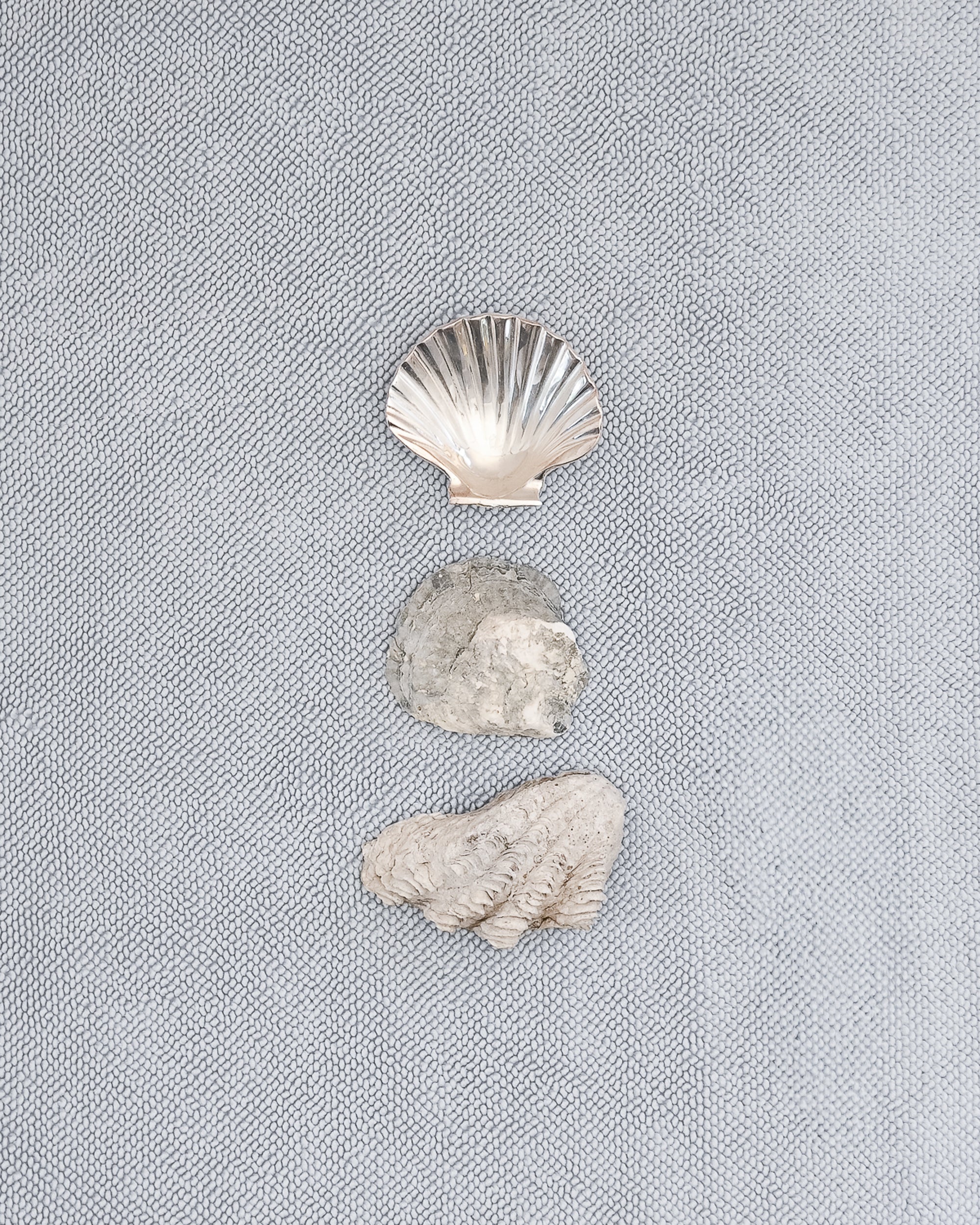 Three shells on a pale mist blue chunky cotton weave bathmat by Kobn