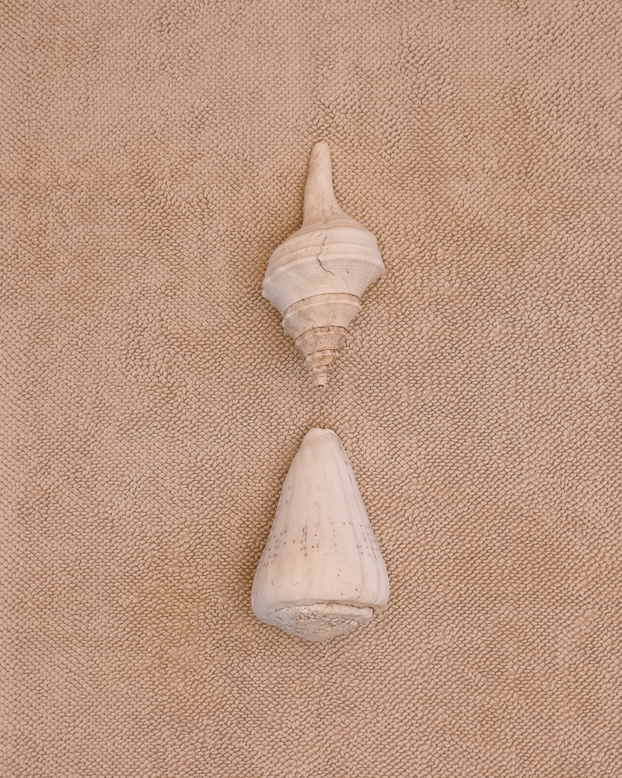 Kobn Sand Bath Mat laid flat with two shells on top. The weave is plush and chunky.