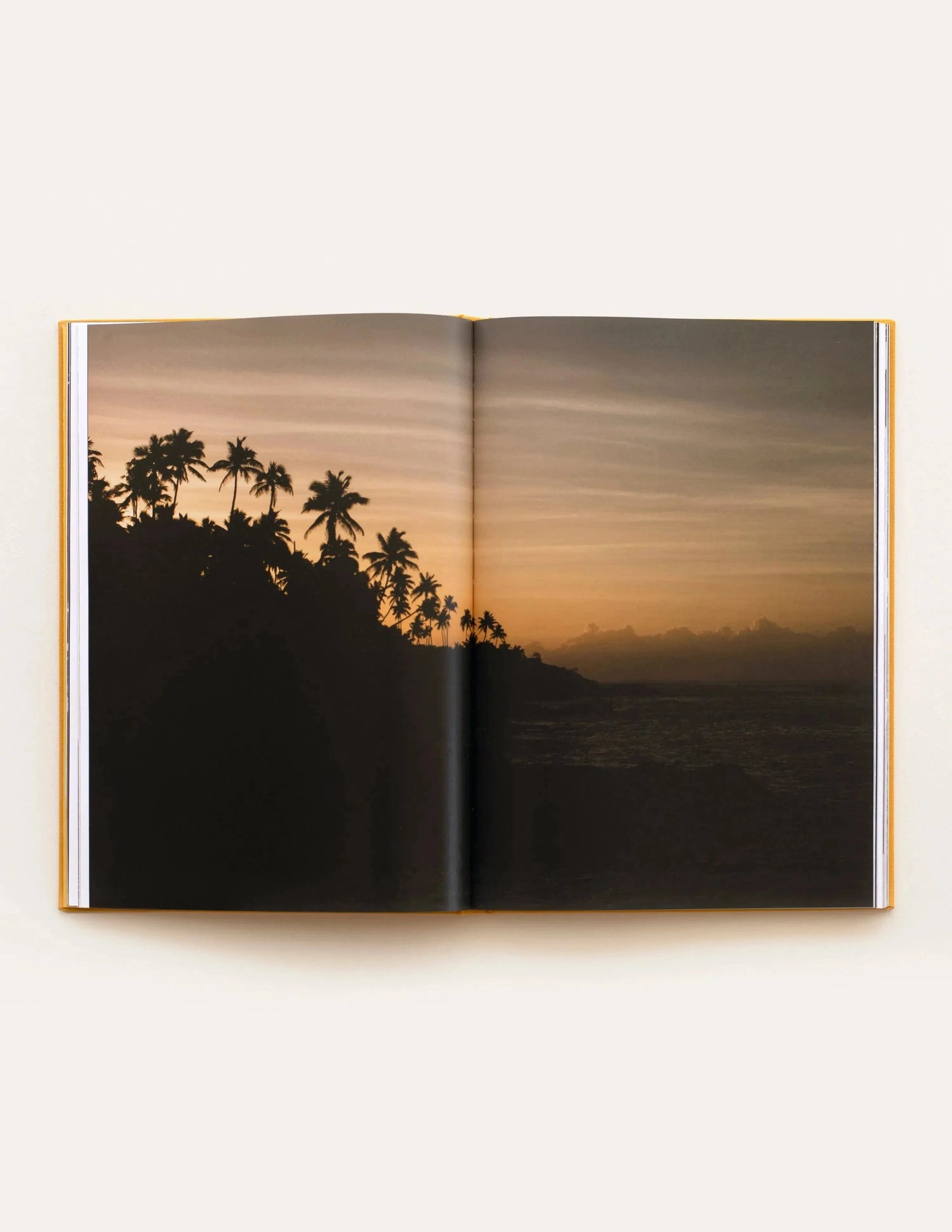 The Pleasure of Leisure Book